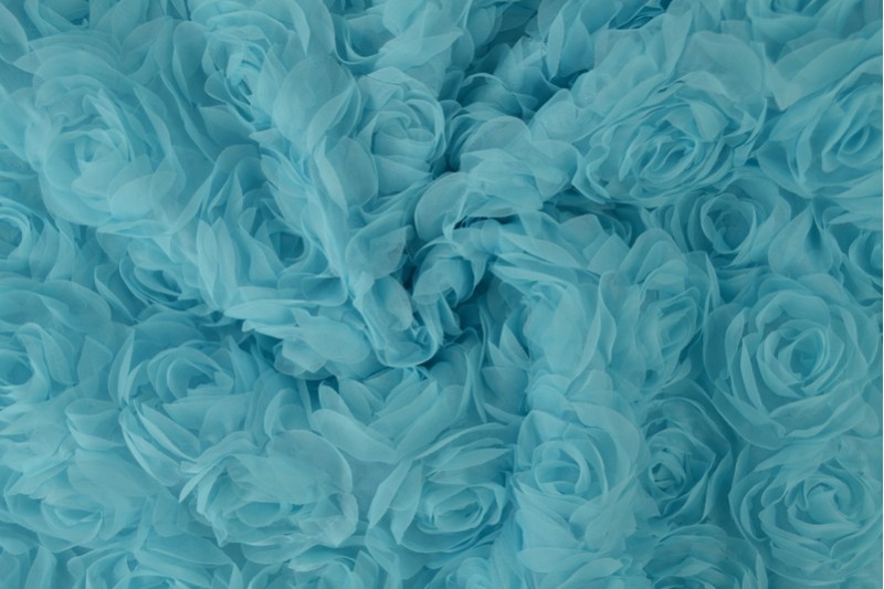 Mesh Roses Special bleu