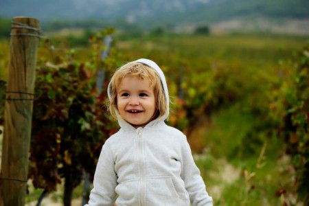 Maille Alpenfleece — rouleau de tissu tissu jogging