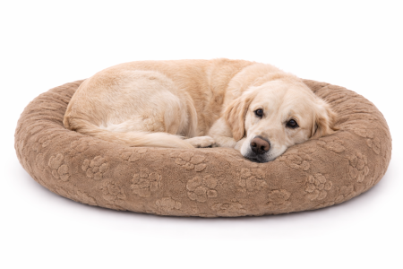 Polaire Pattes de Chien — rouleau de tissu tissu polaire
